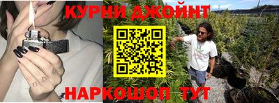 прущие крисы Моздок