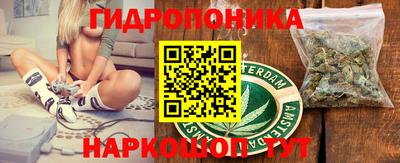 прущие крисы Моздок