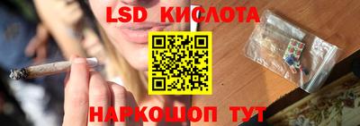 прущие крисы Моздок