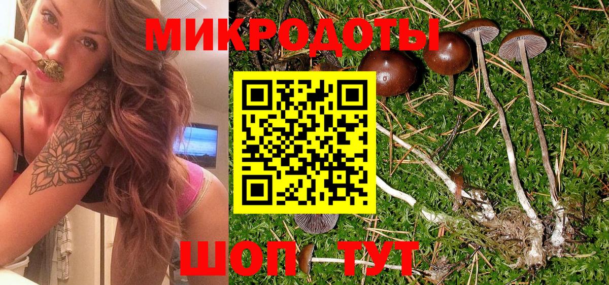 Галлюциногенные грибы прущие грибы Сланцы