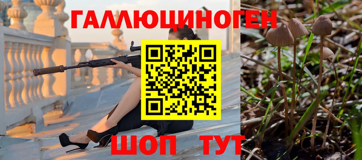Сланцы  Псилоцибиновые грибы Psilocybe  Псилоцибиновые грибы ЛСД  Вход с VPN 