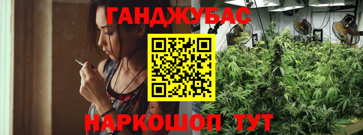 Сланцы  Шишки марихуана гибрид  Каннабис сатива  Вход с VPN  Шишки марихуана тримм  Бошки Шишки семена 